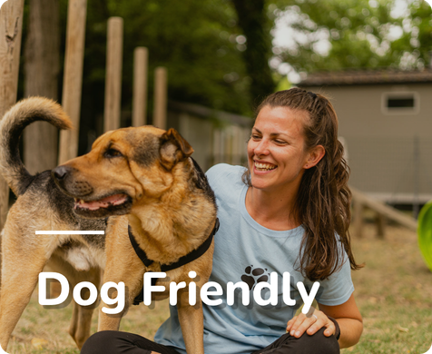 Family Dog Friendly